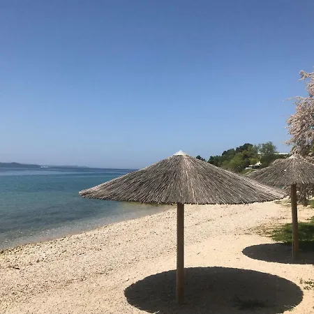 Lidija * Ζαντάρ
